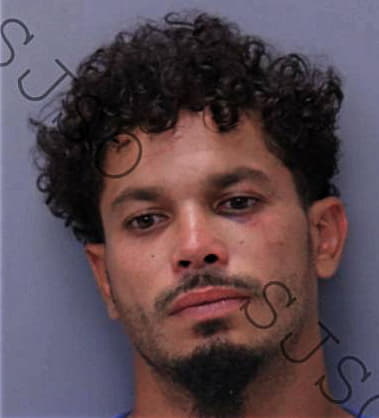 Cristhian Dominguez-Cardona, - St. John's County, FL 